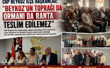 CHP Beykoz İlçe Başkanlığı: “Beykoz’un toprağı da ormanı da ranta teslim edilemez”