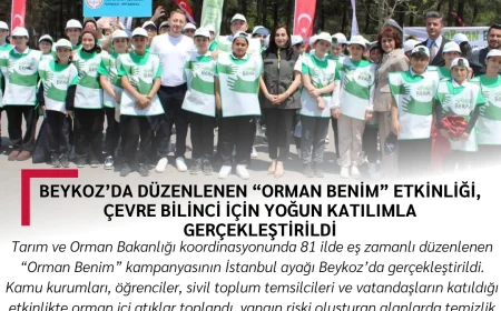 Beykoz’da Düzenlenen “Orman Benim” Etkinliği, Çevre Bilinci İçin Yoğun Katılımla Gerçekleştirildi