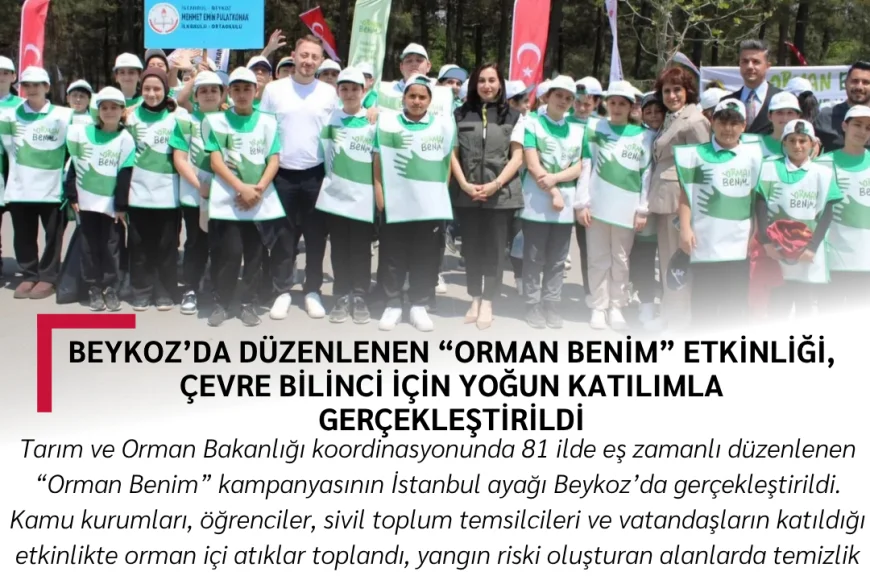 Beykoz’da Düzenlenen “Orman Benim” Etkinliği, Çevre Bilinci İçin Yoğun Katılımla Gerçekleştirildi
