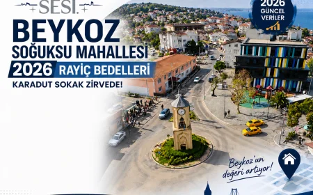 Beykoz Soğuksu Mahallesi 2026 Rayiç Bedelleri: Karadut Sokak Zirvede, İşte Sokak Sokak Tam Liste