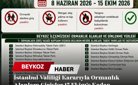 İstanbul Valiliği Kararıyla Ormanlık Alanlara Girişler 15 Ekim’e Kadar Geçici Olarak Yasaklandı