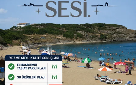 Beykoz Sahillerinde Güncel Kalite Verileri Riva Plajı Yeniden Gündemde
