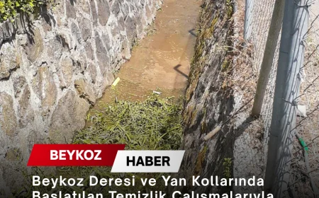 Beykoz Deresi ve Yan Kollarında Başlatılan Temizlik Çalışmalarıyla Taşkın Riskine Karşı Önlemler Güçlendiriliyor