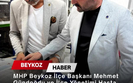 MHP Beykoz İlçe Başkanı Mehmet Gündoğdu ve İlçe Yönetimi Hasta Sokak Kedisi İçin Başlatılan Süreci Yerinde Takip Etti