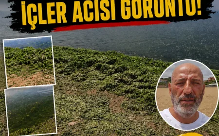 Riva Halk Plajında İçler Acısı Görüntü Vatandaşlar “İki Yıl Önce Böyle Değildi” Dedi