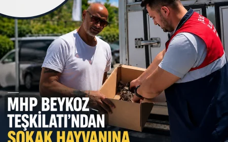 MHP Beykoz İlçe Başkanlığı Sokak Hayvanının Tedavi Sürecine Destek Verdi