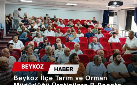 Beykoz İlçe Tarım ve Orman Müdürlüğü Üreticilere B-Reçete Sistemi ve Bilinçli İlaç Kullanımı Eğitimi Verdi