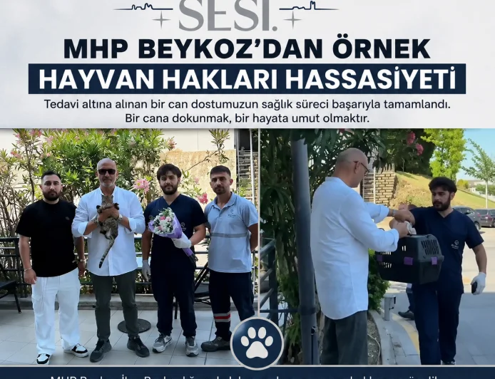 MHP Beykoz İlçe Başkanlığı Sokak Hayvanının Tedavi Sürecini Tamamladı ve Yaşam Hakkına Dikkat Çekti