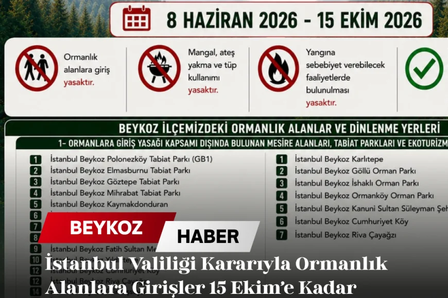 İstanbul Valiliği Kararıyla Ormanlık Alanlara Girişler 15 Ekim’e Kadar Geçici Olarak Yasaklandı