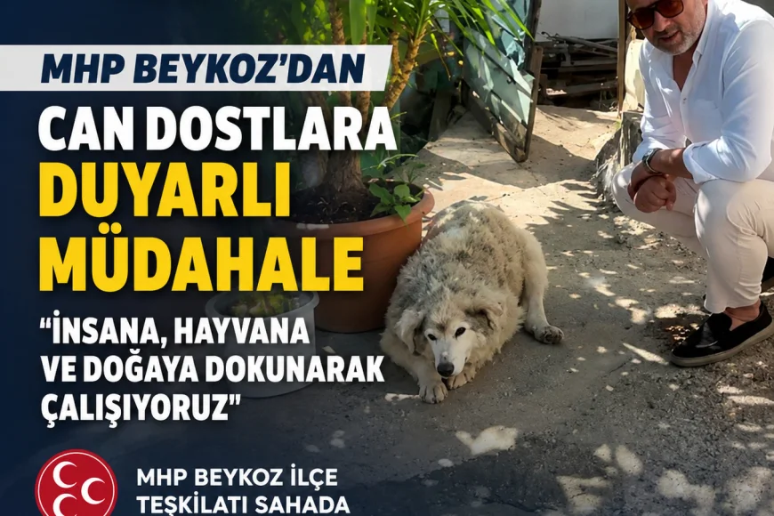 MHP Beykoz İlçe Teşkilatı Çubuklu’daki Yaralı Sokak Hayvanı İçin Harekete Geçti