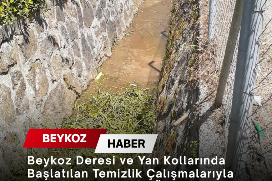 Beykoz Deresi ve Yan Kollarında Başlatılan Temizlik Çalışmalarıyla Taşkın Riskine Karşı Önlemler Güçlendiriliyor