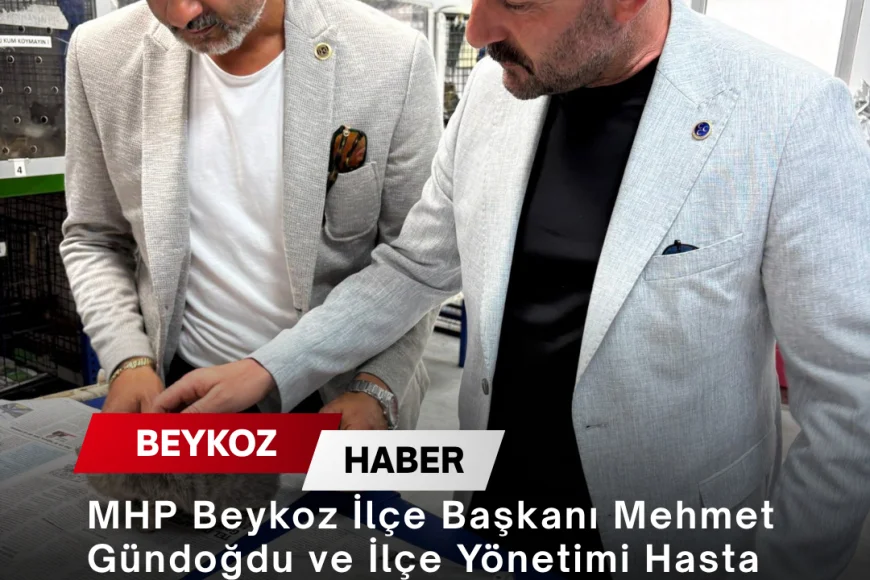 MHP Beykoz İlçe Başkanı Mehmet Gündoğdu ve İlçe Yönetimi Hasta Sokak Kedisi İçin Başlatılan Süreci Yerinde Takip Etti