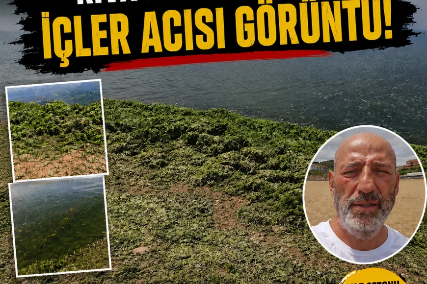 Riva Halk Plajında İçler Acısı Görüntü Vatandaşlar “İki Yıl Önce Böyle Değildi” Dedi
