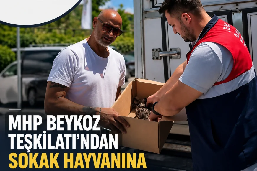 MHP Beykoz İlçe Başkanlığı Sokak Hayvanının Tedavi Sürecine Destek Verdi