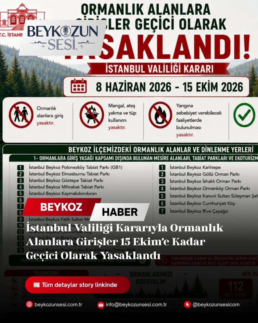 İstanbul Valiliği Kararıyla Ormanlık Alanlara Girişler 15 Ekim’e Kadar Geçici Olarak Yasaklandı