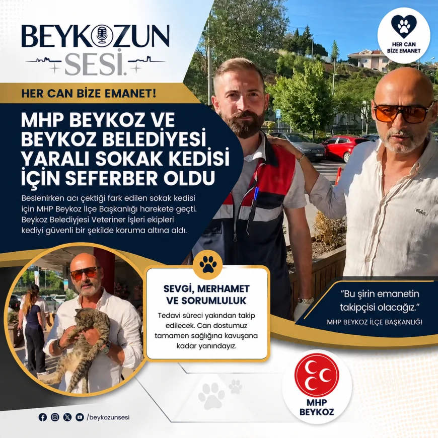 MHP Beykoz İlçe Başkanlığı ve Beykoz Belediyesi Yaralı Sokak Kedisi İçin Seferber Oldu “Her Can Bize Emanet”
