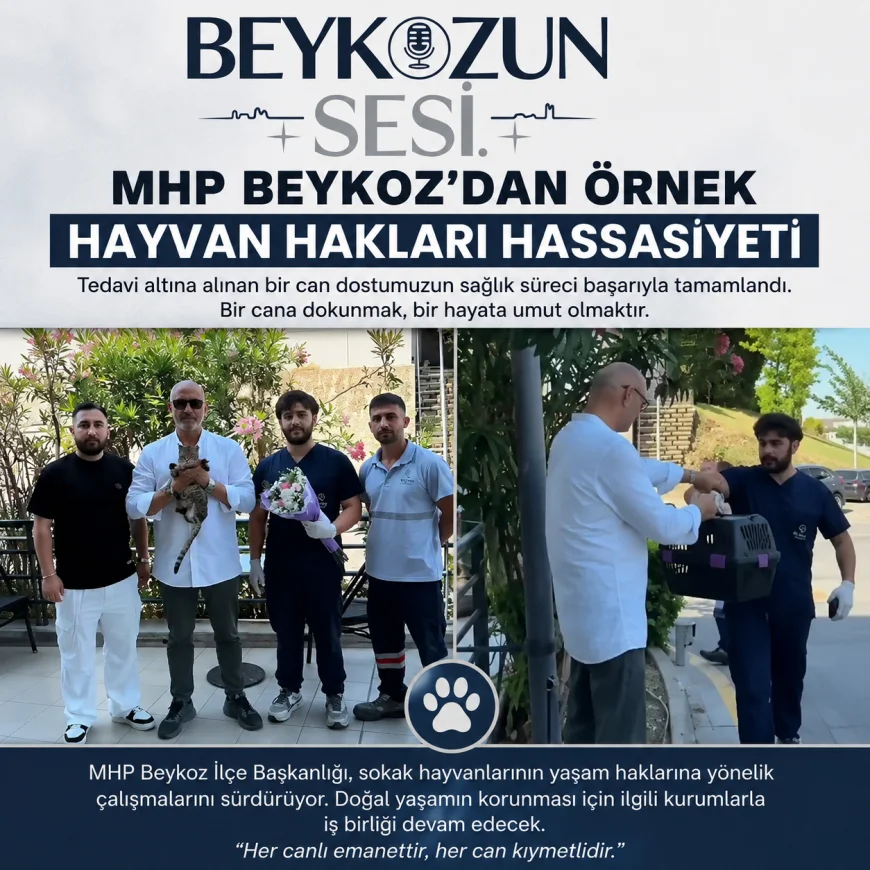 MHP Beykoz İlçe Başkanlığı Sokak Hayvanının Tedavi Sürecini Tamamladı ve Yaşam Hakkına Dikkat Çekti
