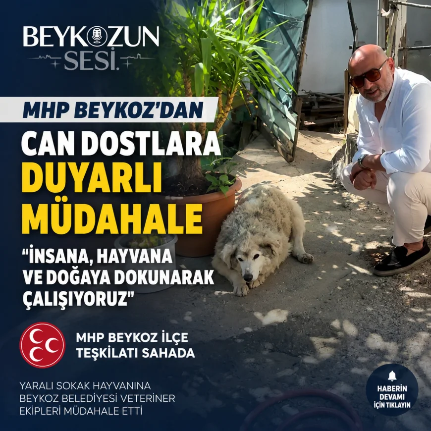 MHP Beykoz İlçe Teşkilatı Çubuklu’daki Yaralı Sokak Hayvanı İçin Harekete Geçti