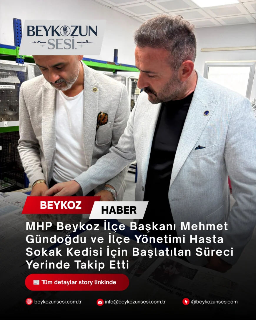 MHP Beykoz İlçe Başkanı Mehmet Gündoğdu ve İlçe Yönetimi Hasta Sokak Kedisi İçin Başlatılan Süreci Yerinde Takip Etti