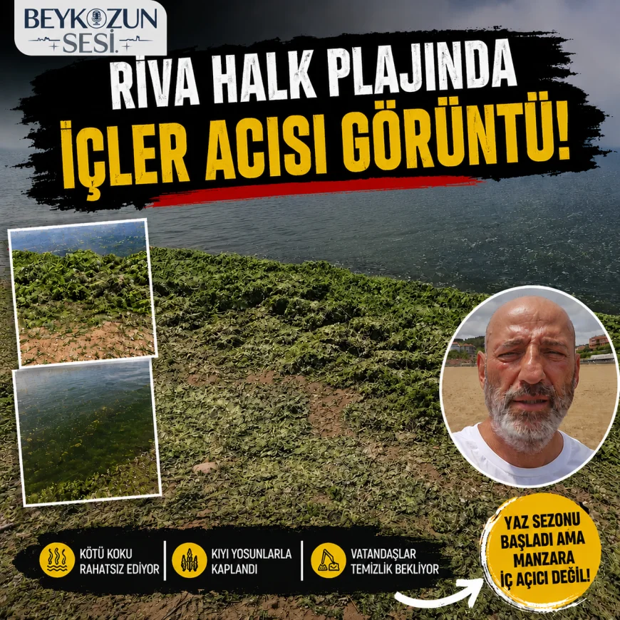 Riva Halk Plajında İçler Acısı Görüntü Vatandaşlar “İki Yıl Önce Böyle Değildi” Dedi