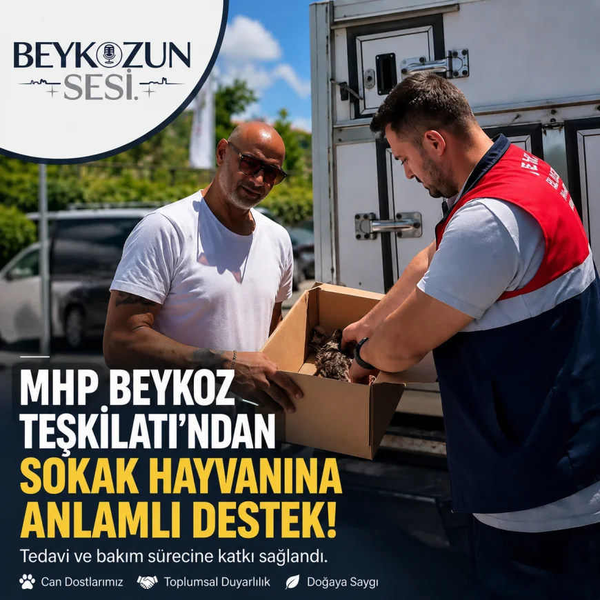 MHP Beykoz İlçe Başkanlığı Sokak Hayvanının Tedavi Sürecine Destek Verdi
