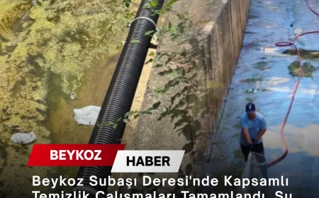 Beykoz Subaşı Deresi'nde Kapsamlı Temizlik Çalışmaları Tamamlandı, Su Akışı ve Çevre Sağlığı Güçlendirildi