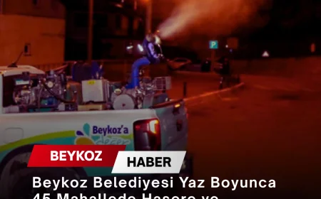 Beykoz Belediyesi Yaz Boyunca 45 Mahallede Haşere ve Sivrisinekle Mücadeleyi Aralıksız Sürdürüyor