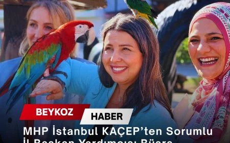 MHP İstanbul KAÇEP’ten Sorumlu İl Başkan Yardımcısı Büşra Düzgün Kaya: “İstanbulluyla Kucaklaşmaya Devam Ediyoruz”