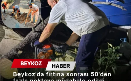 Beykoz'da fırtına sonrası 50'den fazla noktaya müdahale edildi, belediye ekipleri 7/24 sahada görev yaptı