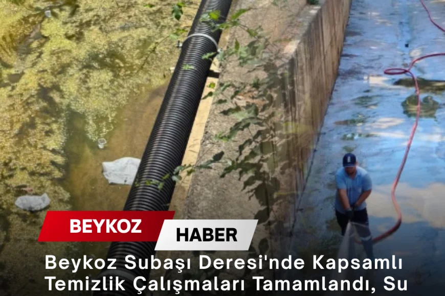 Beykoz Subaşı Deresi'nde Kapsamlı Temizlik Çalışmaları Tamamlandı, Su Akışı ve Çevre Sağlığı Güçlendirildi