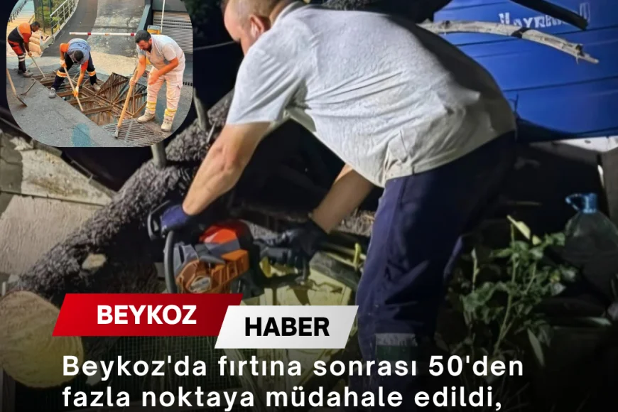 Beykoz'da fırtına sonrası 50'den fazla noktaya müdahale edildi, belediye ekipleri 7/24 sahada görev yaptı