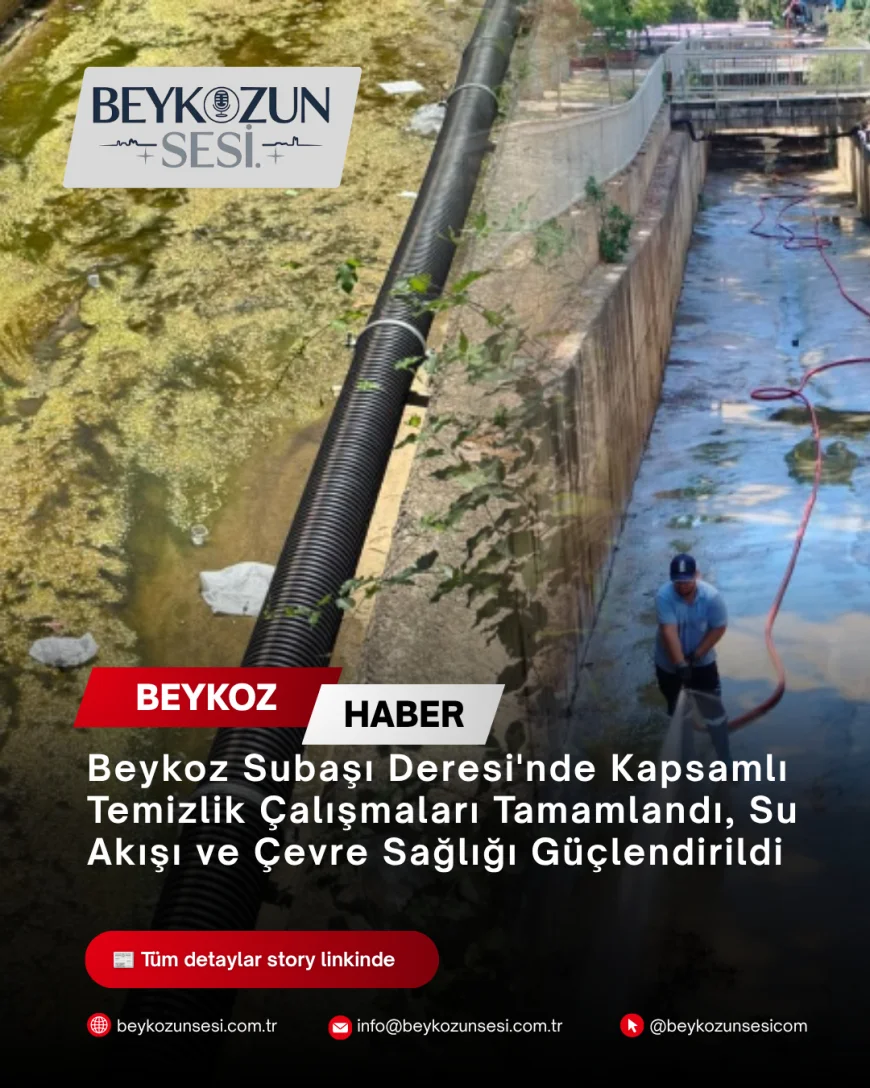 Beykoz Subaşı Deresi'nde Kapsamlı Temizlik Çalışmaları Tamamlandı, Su Akışı ve Çevre Sağlığı Güçlendirildi