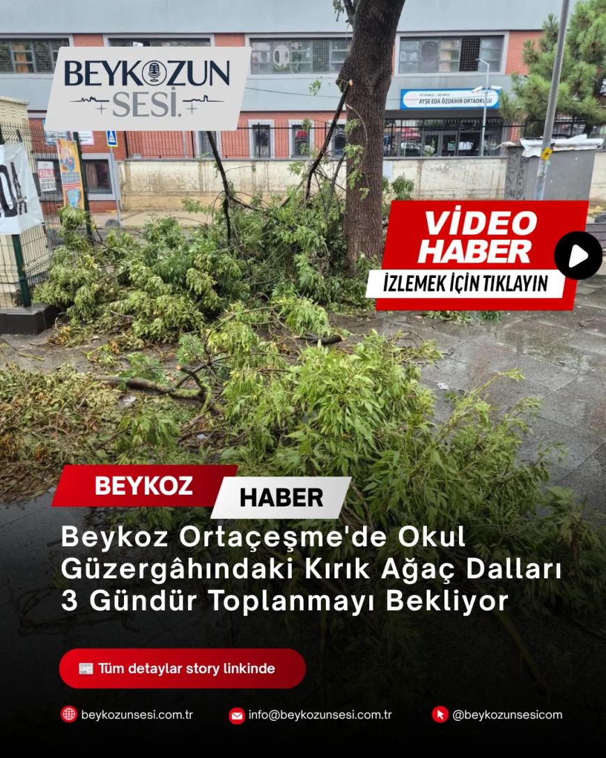 Beykoz Ortaçeşme'de Okul Güzergâhındaki Kırık Ağaç Dalları 3 Gündür Toplanmayı Bekliyor