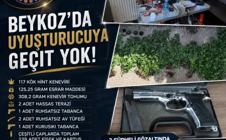 Beykoz'da Uyuşturucu Operasyonu: 117 Kök Hint Keneviri, Silah ve Mühimmat Ele Geçirildi