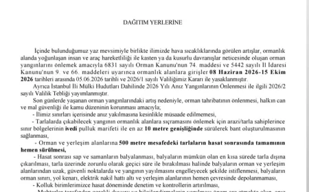 İstanbul Valiliğinden anız yangınlarına karşı yeni tedbirler: Ormana 500 metre mesafedeki tarlalar hemen sürülecek
