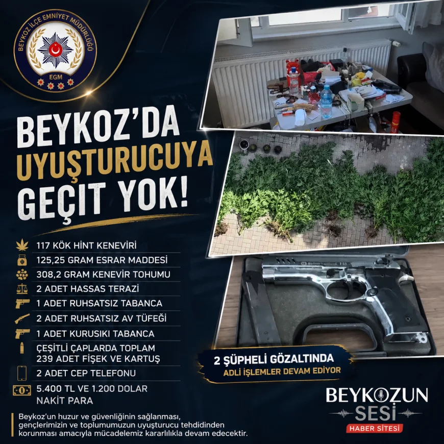 Beykoz'da Uyuşturucu Operasyonu: 117 Kök Hint Keneviri, Silah ve Mühimmat Ele Geçirildi