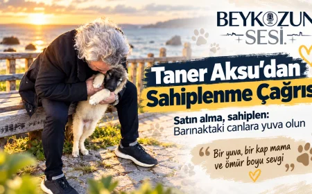 Beykoz Belediyesi Meclis Üyesi Taner Aksu: “Satın alma, sahiplen; bir cana yuva, bir ömre umut ol”