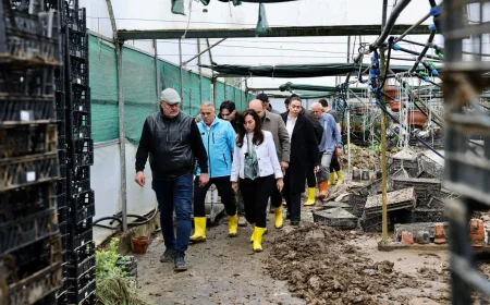 Beykoz’da Şiddetli Yağış ve Selin Vurduğu Tarım Arazilerinde Hasar Tespiti ve Çiftçilere Destek Çalışmaları Sürüyor