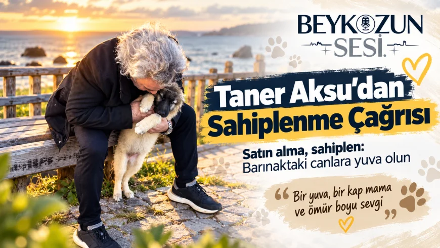 Beykoz Belediyesi Meclis Üyesi Taner Aksu: “Satın alma, sahiplen; bir cana yuva, bir ömre umut ol”